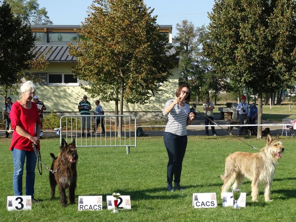 de montribois - Jaurès vainqueur de la Nationale d'élevage